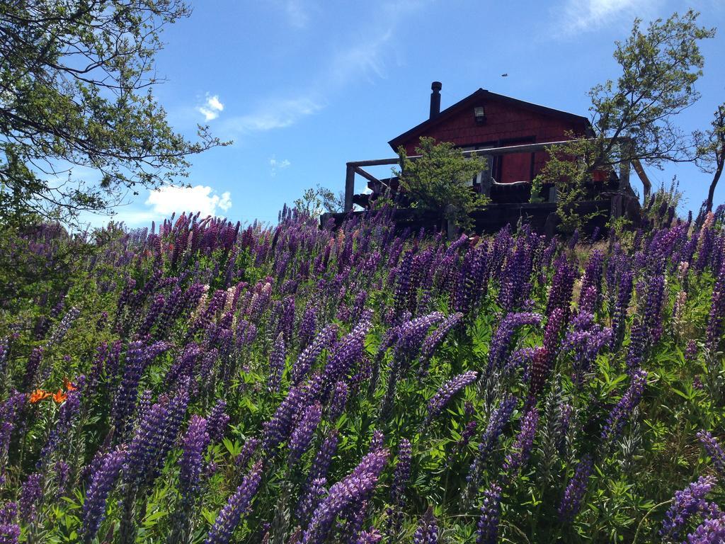 Cabanas Brellenthin Villa Cochrane Buitenkant foto